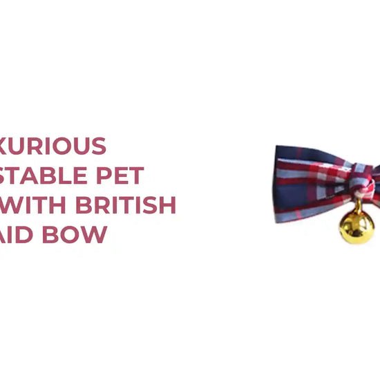 Luxurious Adjustable Pet Collar With British Plaid Bow by@Outfy